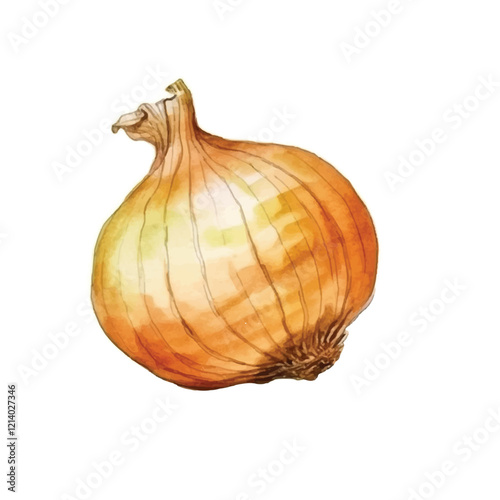 Wallpaper Mural watercolor Onion isolated white background Torontodigital.ca