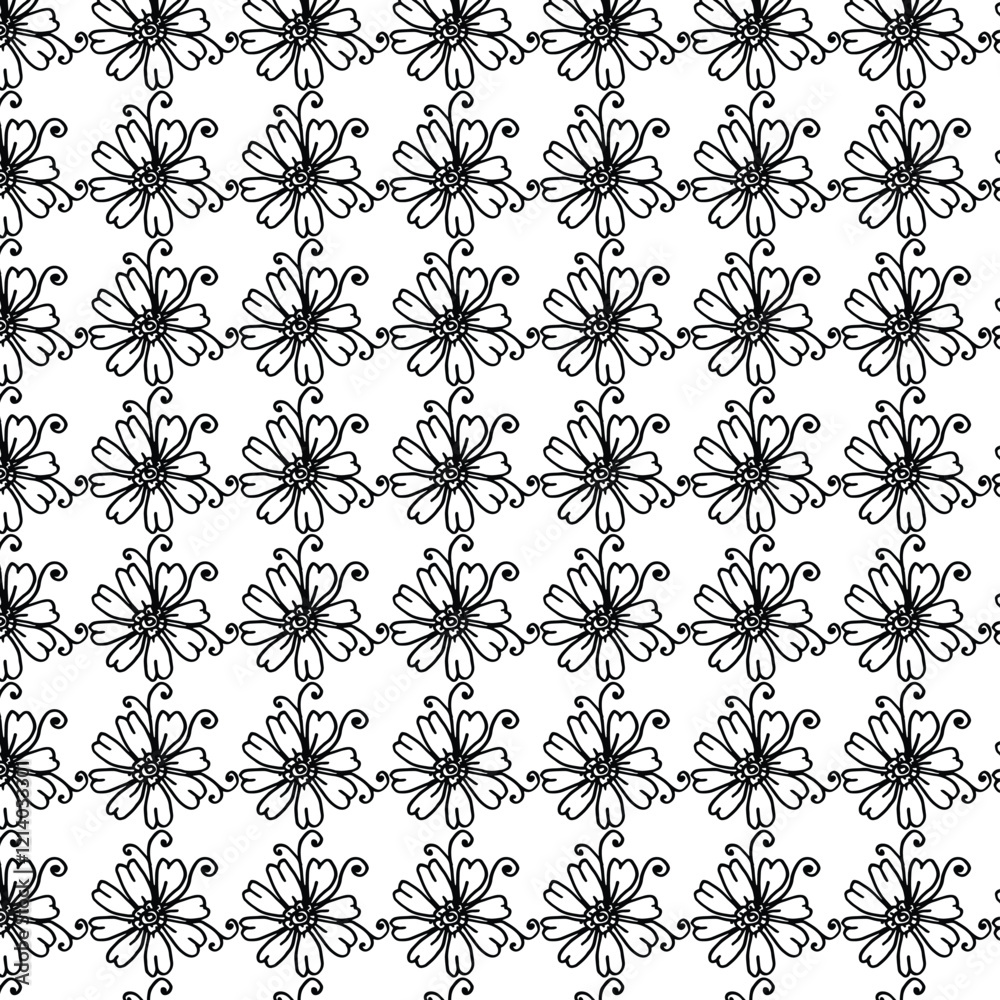 Fototapeta premium Web