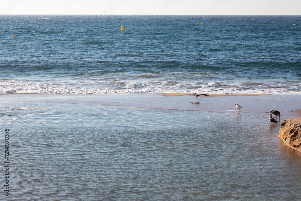 Gentle waves reaching sandy beach on calm ocean with yellow buoys