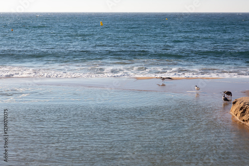 Obraz na płótnie Gentle waves reaching sandy beach on calm ocean with yellow buoys w salonie