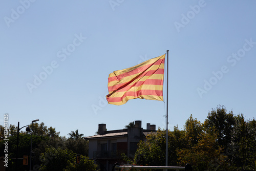 Obraz na płótnie Catalan flag waving on a sunny day with blue sky w salonie