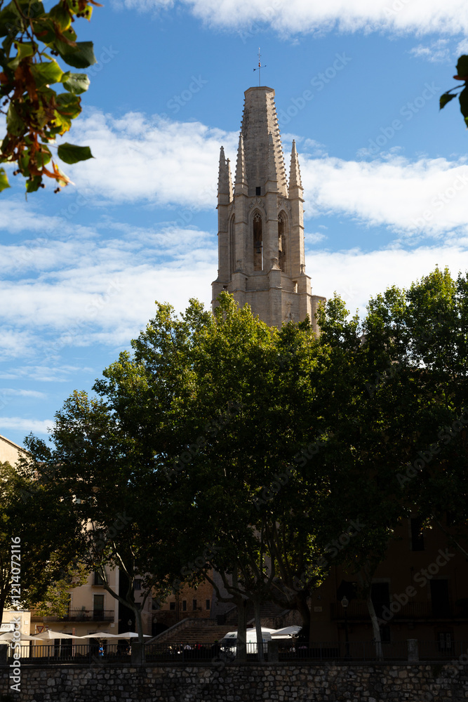 Girona cathedral rising majestically over lush green trees in catalonia