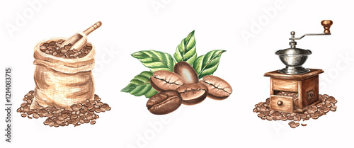 Compositions of roasted coffee beans with leaves, grinder and canvas sack with wooden scoop. Set of watercolor hand drawn illustrations isolated. Harvest of tropical plantation. Clipart for packaging.
