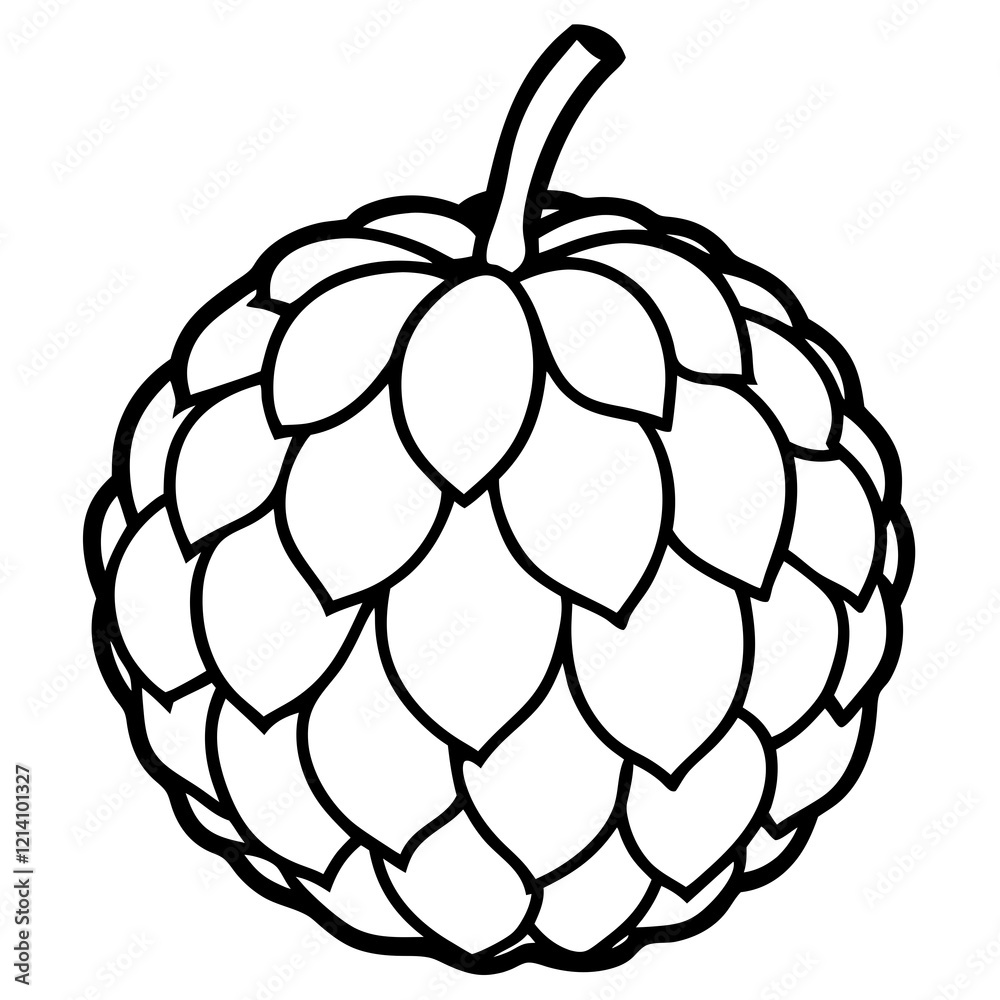 Sugar Apple Fruit in Hand Vector Design Sugar Apple Fruit in Hand Vector Design