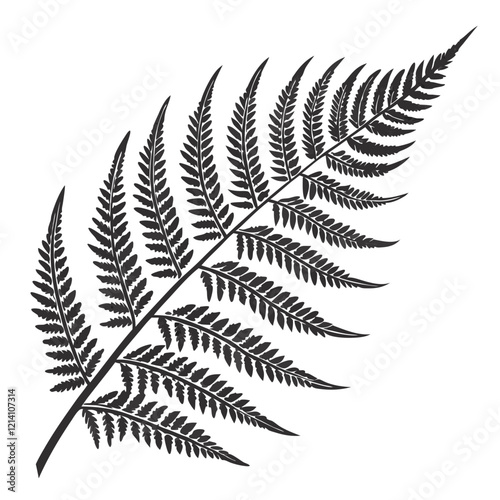Fern frond silhouette vector illustration.
