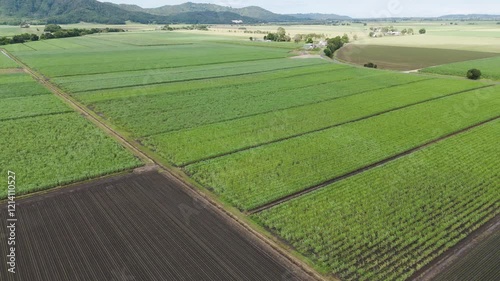 Aerial View of Sugar Cane Fields photo