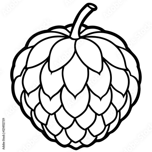 Vector Design Balsam Apple