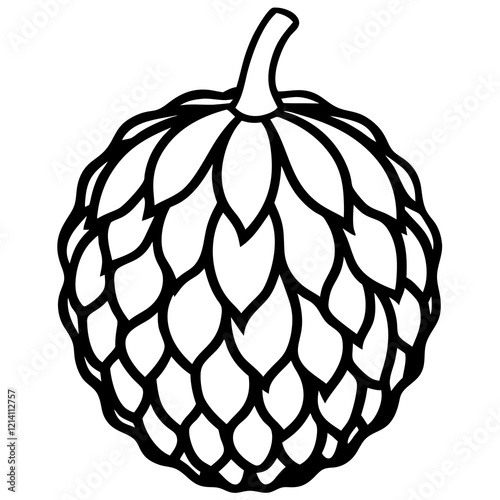 Vector Design Balsam Apple
