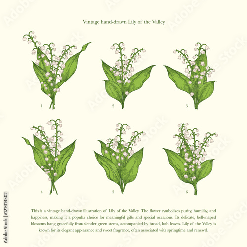 Vintage Flowers and Twigs: Lily of the Valley Botanical Vector Illustration Set