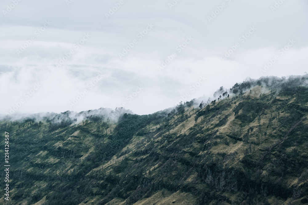 Misty mountain landscape with green slopes and scattered trees, creating a serene and mystical atmosphere. Misty mountain landscape with green slopes and scattered trees, creating a serene and mystical atmosphere.