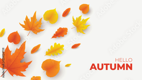 Bright autumn background template