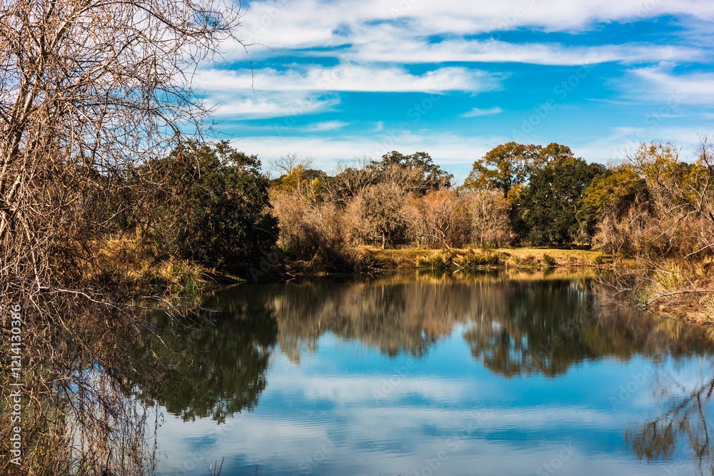 Obraz premium Sunny day at the Brazos Bend State Park