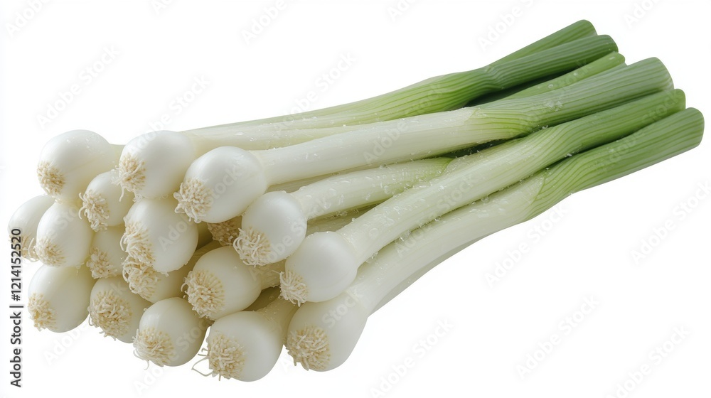 Fresh Green Onion Bunch with Crisp White Bulbs on White Background Fresh Green Onion Bunch with Crisp White Bulbs on White Background