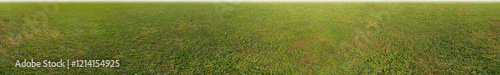 Obraz na płótnie green meadow grass foreground w salonie