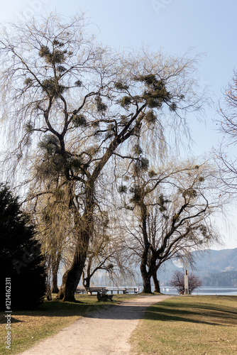 Panorama of lake Tegernsee, Bavaria, Germany photo