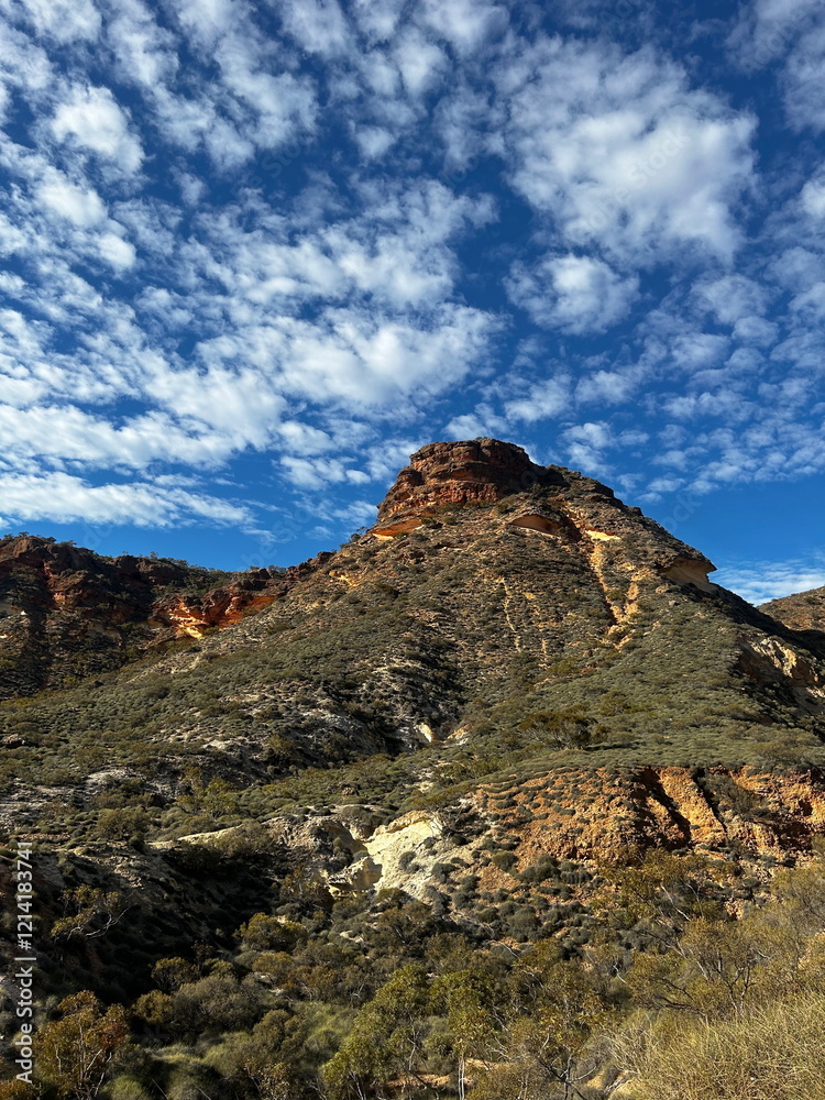 Fototapeta premium landscape with clouds