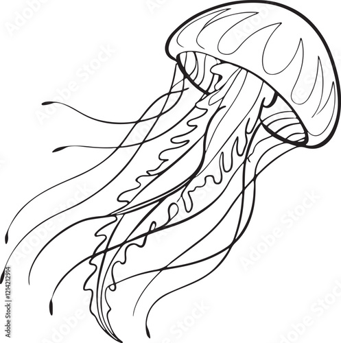 Jellyfish Sketch Drawing Linear Line Art Vector Illustration Isolated Black and White