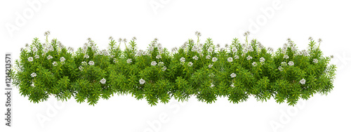 set of shrubs, 3D rendering with transparent background, for illustration, digital composition, architecture visualization