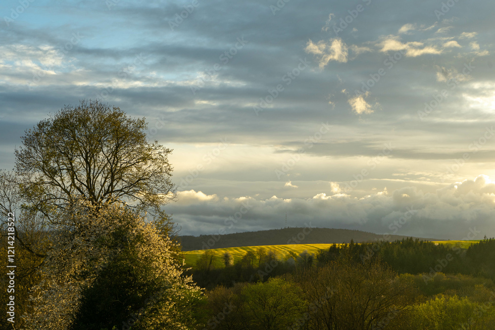Obraz premium Chaleur d'un soir
