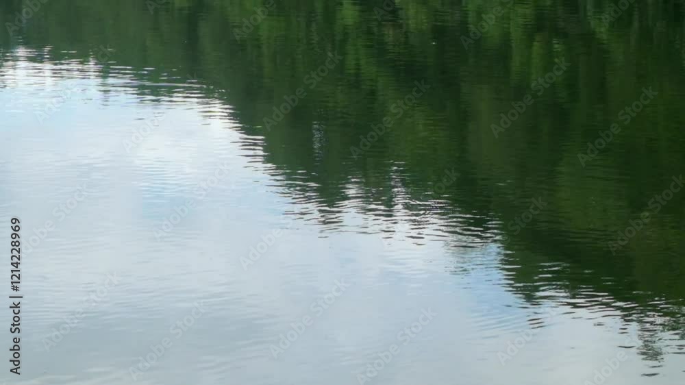 Reflection of trees on the edge of the lake.The lake water moves calmly.Sustainable green ecology.Ecology and environmental concepts.Footage 4K,60Fps Reflection of trees on the edge of the lake.The lake water moves calmly.Sustainable green ecology.Ecology and environmental concepts.Footage 4K,60Fps