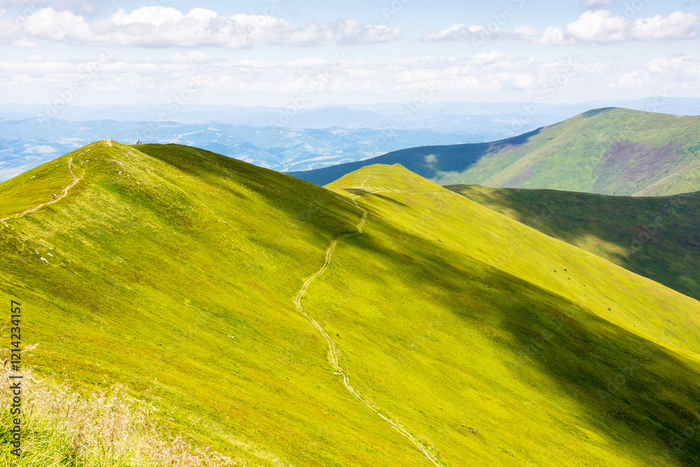 Obraz premium green mountain landscape with rolling hills. spectacular steep slope. beautiful view of borzhava ridge on a sunny day. wide open vista of recreation place in transcarpathia in ukraine