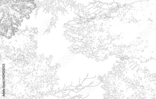 Frame with copy space, contour of deciduous branches of trees. Vector illustration