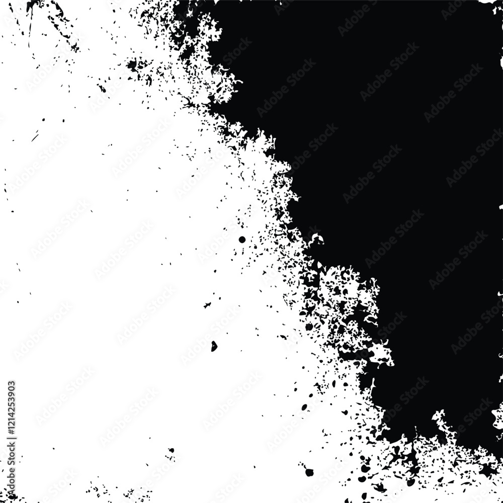 Fototapeta premium Black and White Abstract Grunge Texture background Vector