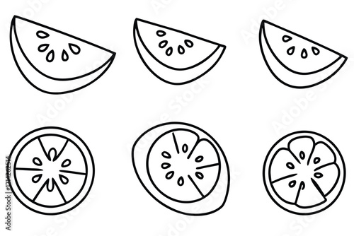 set-of-9pcs-different-type-of--a-slice-of-tomato-t (2).eps