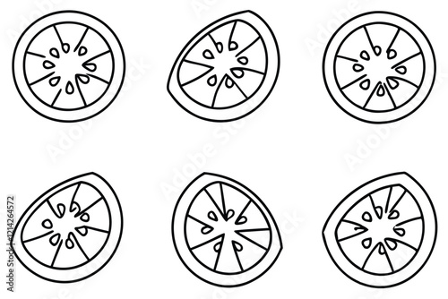 set-of-9pcs-different-type-of--a-slice-of-tomato-t (1).eps