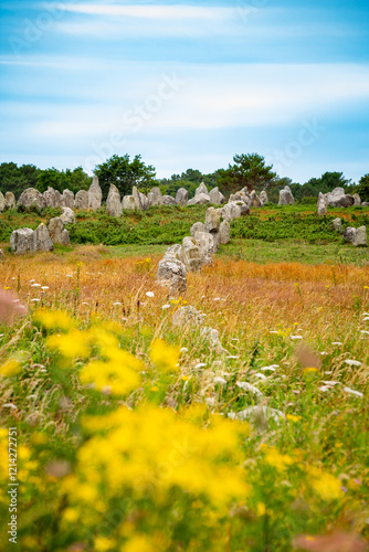 Carnac alignments view in France photo
