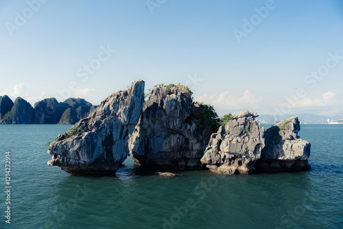 Amazing rock look like fish shape on the ocean. One of the best iconic or landmark in Ha Long Bay, Vietnam. Perfect for background or travel wallpaper