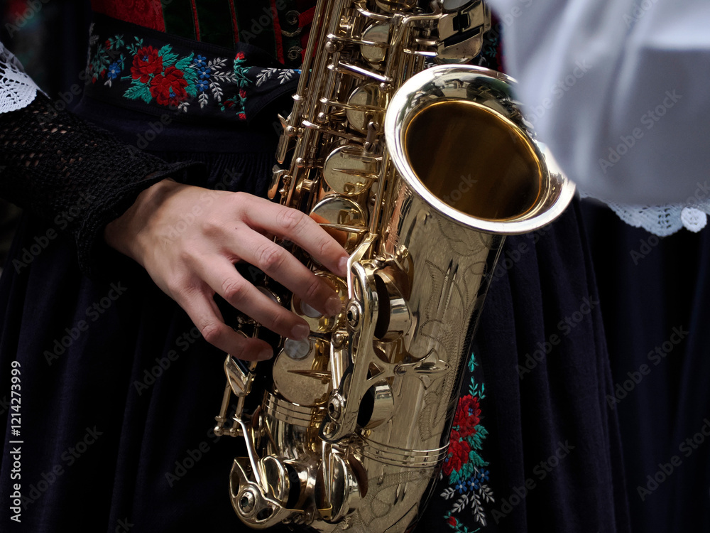 Obraz premium Traditional Tyrol band instrument detail