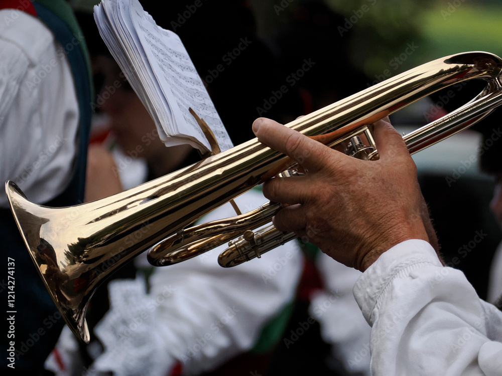 Obraz premium Traditional Tyrol band instrument detail