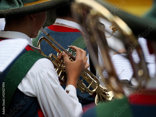 Traditional Tyrol band instrument detail