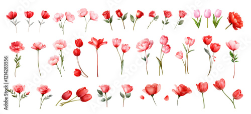 Fototapeta Naklejka Na Ścianę i Meble -  Watercolor pink and red flowers for Valentine day celebration love isolated on white background PNG