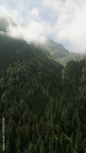 Vertical drone shot of beautiful mountain and forests, in summer afternoon under clear blue sky in Switzerland Alps