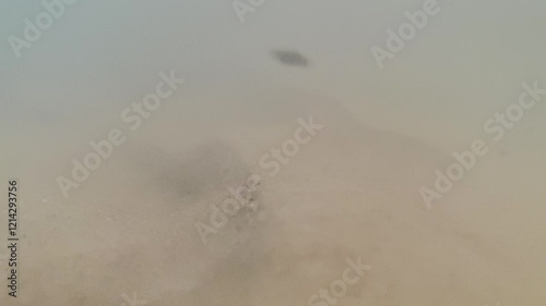Quicksand moving sand underwater, creek river muddy water moving fast