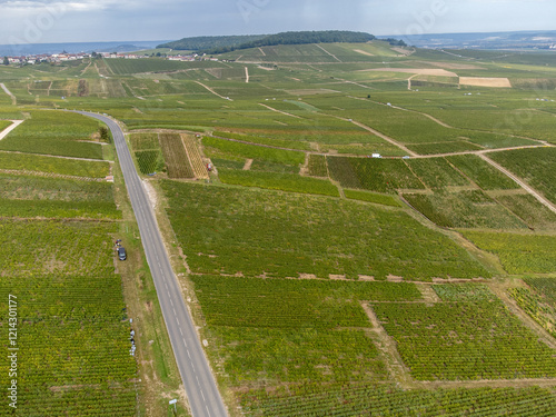 Aerial view on green grand cru vineyards near Cramant and Avize, region Champagne, France. Cultivation of white chardonnay wine grape on chalky soils of Cote des Blancs