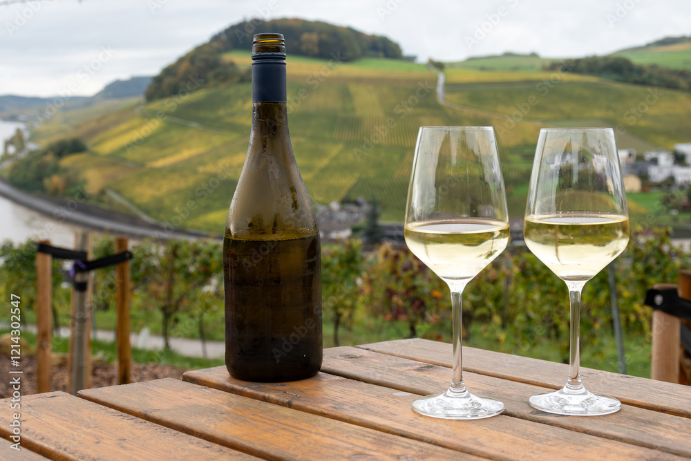 Glasses of white dry riesling wine made on Moselle river valley in Germany or Luxembourg, view on terraced vineyards Glasses of white dry riesling wine made on Moselle river valley in Germany or Luxembourg, view on terraced vineyards