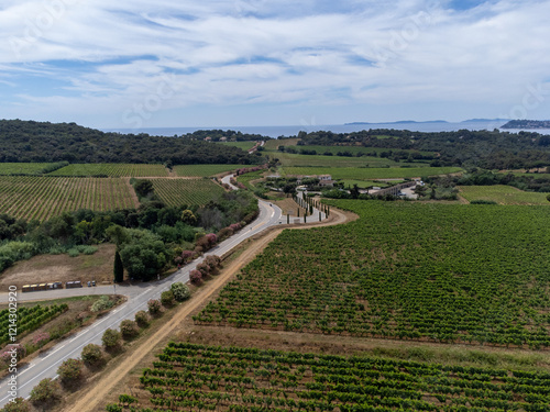 Aerial view on hills, houses and green vineyards Cotes de Provence, production of rose wine near Saint-Tropez and Pampelonne beach, Var, France in summer photo