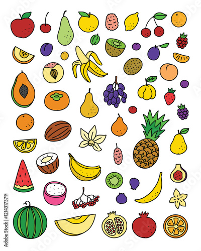 Fruits vector set. Doodle fruits and berries on white background. Cute fruit illustrations