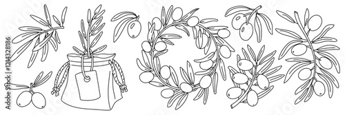 set of olive branches, contour. Twigs, a sprout, wreath of fruits. Isolated illustration on white background. An environmentally friendly product with olive oil content. the symbol of natural product