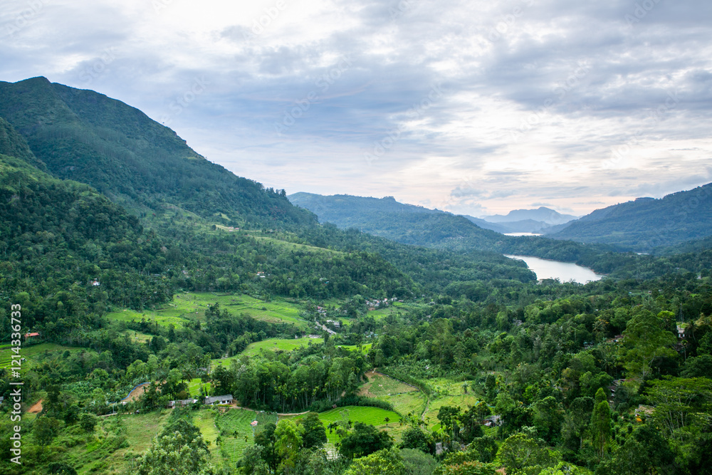 Fototapeta premium The very beautiful nature in sri lanka, also called the pearl of the Indian ocean. Travel in Asia