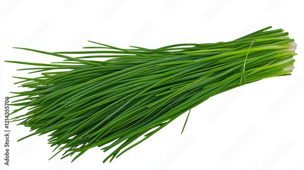 Fresh Green Chives Bunch with Vibrant Color and Crisp Texture Fresh Green Chives Bunch with Vibrant Color and Crisp Texture