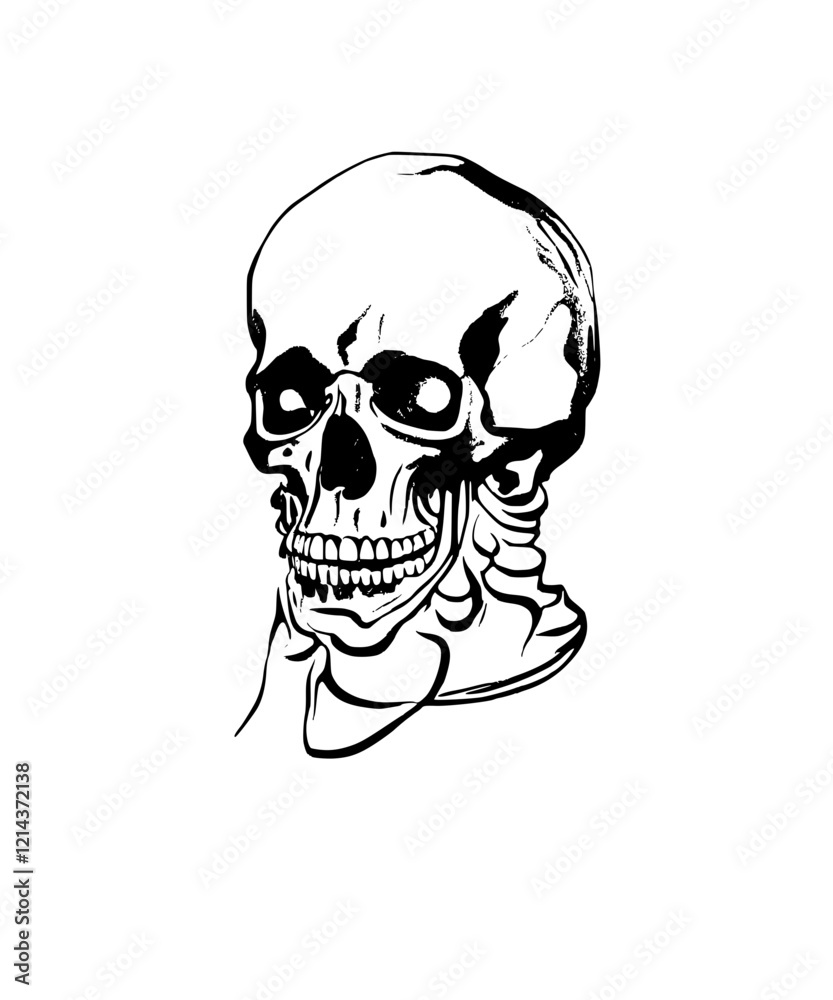 human skull human skull