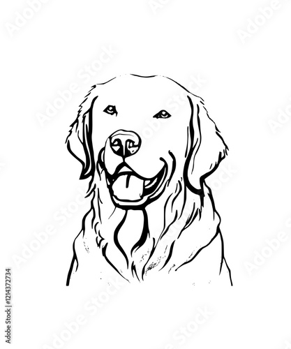 labrador golden retriever dog illustration