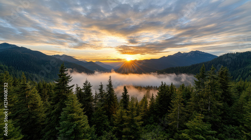 stunning sunrise over misty forest landscape with vibrant colors