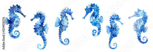 Set of colorful sea horse animal watercolor isolated on white background. Vector illustration