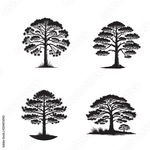 High-Quality Monochrome Vector Silhouettes of the Loblolly Pine Tree Isolated on a White Background"
