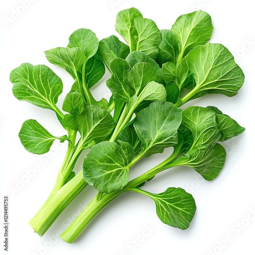 Fresh bunch of vibrant green bok choy, showcasing crisp leaves and sturdy stems, perfect for healthy cooking and meal preparation on a white isolated background.